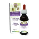Naturalma Wild Teasel eller Fuller's Teasel (Dipsacus fullonum eller D. sylvestris) Root alkoholfri tinktur - 4 fl oz flytende ekstrakt i Drops - Herbal Supplement - Vegan