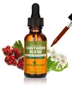 Herb Pharm Hawthorn blanding flytende ekstrakt for kardiovaskulær og sirkulatorisk støtte, 1 Fl Oz