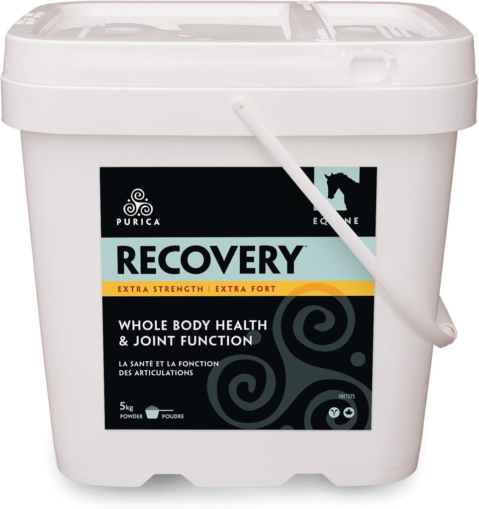 PURICA Recovery Extra styrke - Equine Joint Supplement - Overordnet støtte for hester - Ideell hest Joint Supplement for eldre hester, MSM pulver inkludert - 11 lb pulver