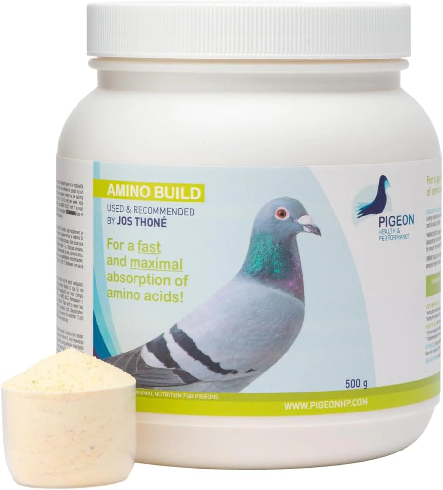 Generisk PHP Amino Build 500g - Muskelbyggende Aminosyrer Pigeon Helse & ytelse
