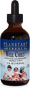 Planetære urter Echinacea-Elderberry Syrup, 4 fl oz (128,28 ml)