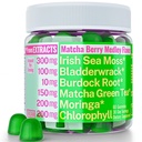 Moringa Irish Sea Moss Klorophyll EGCg Grønn Te Burdock Root Bladderwrack Super Greens Gummies, pulverkapsler piller flytende drops Olje Tinktur kosttilskudd Alt, organisk Grønn Seamoss