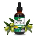 Naturens svar Olive Leaf ekstrakt, alkoholfri, ikke-GMO, Vegansk, Glutenfri, laget i USA, 2 Ounce | Olive Leaf ekstrakt for velvære
