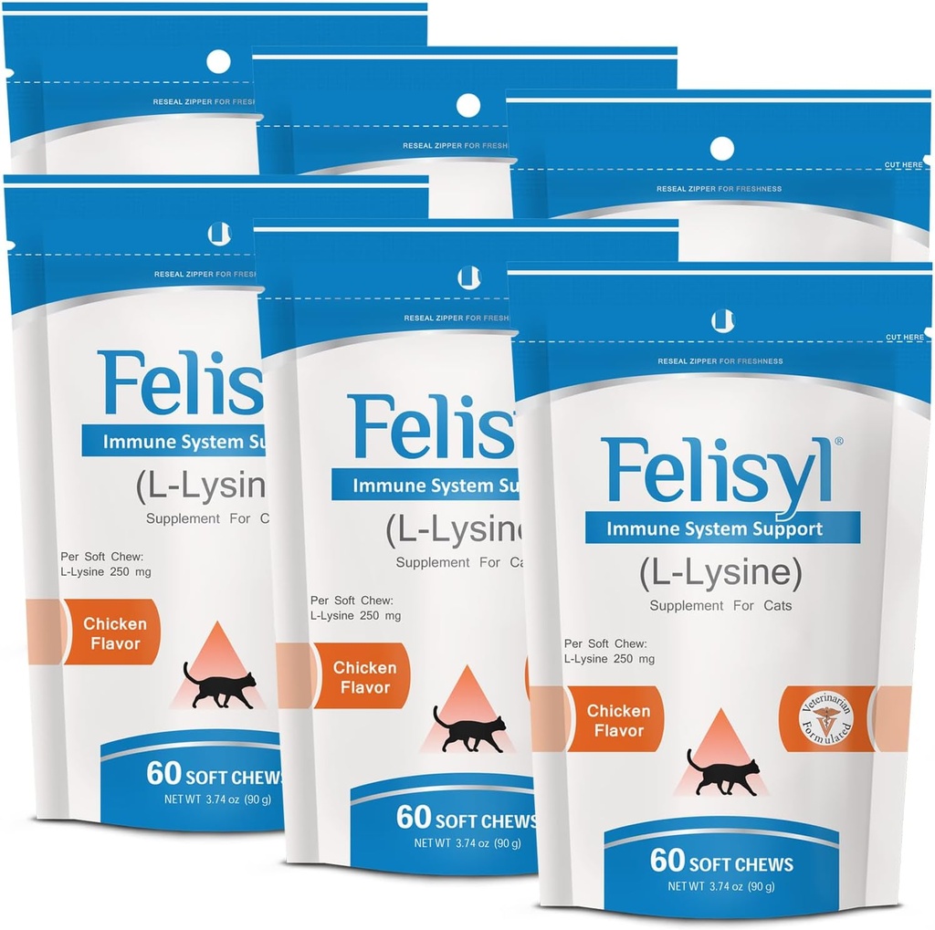 L-Lysine Myke Chews for katter (60 myk Chews) - støtter immune, pustende og øyehelse. Eases Sneezing, Runny Nese og Vannige øyne. Salmon Flavor - (6 Pack)