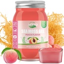 ACEYO (18 OZ) Irsk sjø Moss Gel Organic Raw Vegansk Peach Flavor 102 vitaminer og mineraler Wild Harvested Ikke-GMO Immun Defense Booster Thyroid Digestiv støtte