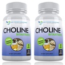 Premium Choline - 500 mg - 120 Veggie Capsules - støtter kognitiv helse, minne og mer - 2 pakker