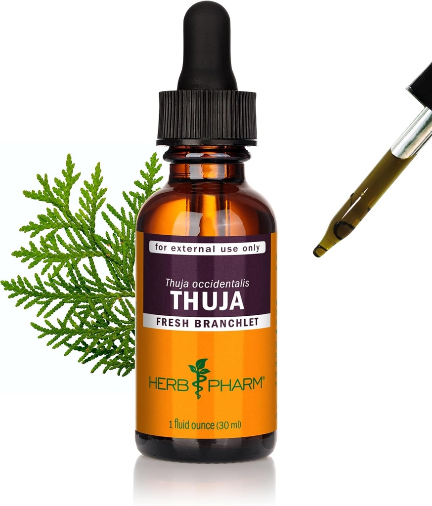 Herb Pharm Thuja Branchlet flytende ekstrakt - 1 Ounce (DTHUJA01)