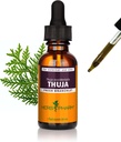 Herb Pharm Thuja Branchlet flytende ekstrakt - 1 Ounce (DTHUJA01)