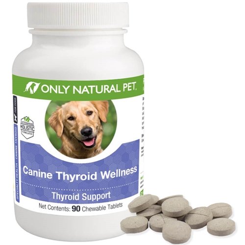 Bare naturlig Kjæledyr Canine Thyroid Velvære Opplegg for hunder - 90 Chewable tabletter