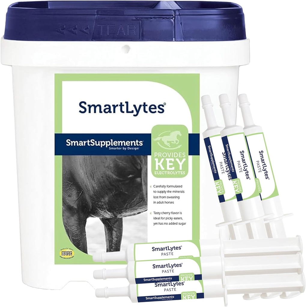 SmartEquine SmartLyttes Hest Electrolyte pulver Supplement & SmartLyttes Lim hest Electrolyte Paste 6 Rør Bundle, oppfordrer Hydration, Replenishes Electrolytes, Ingen lagt sukker