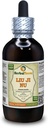 Liu Ji Nu, Artemisia (Artemisia Anomala) Tinktur, tørket urtevæske ekstrakt (merkenavn: HerbalTerra, stolt laget i USA) 4 fl.oz (120 ml)