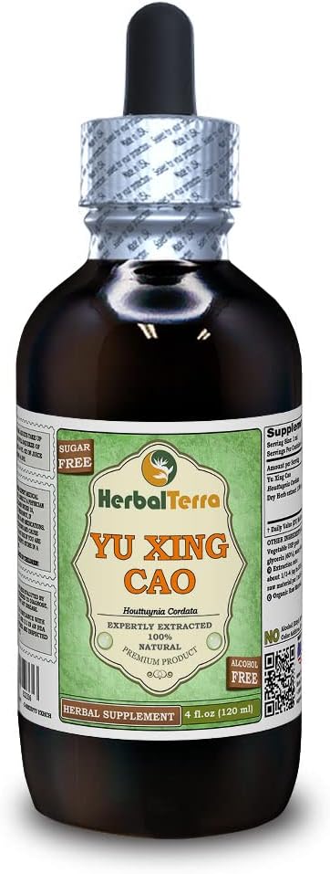 Yu Xing Cao (Houthuynia Cordata) Glyceritt, tørket herb alkoholfri væskeekstrakt (merkenavn: HerbalTerra, stolt laget i USA) 4 fl.oz (120 ml)