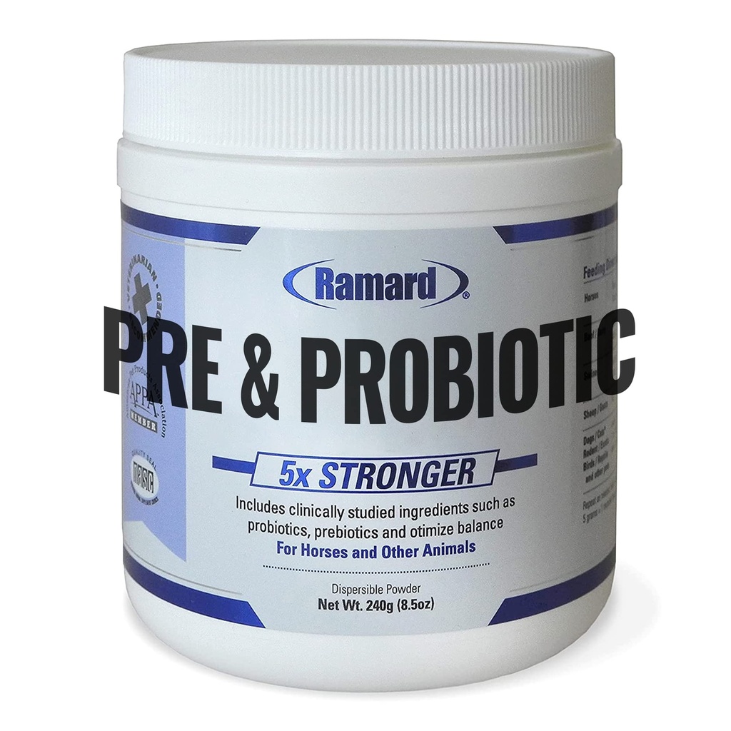 Ramard Total Prebiotic & Probiotic Equine Formula - Naturlig Digestive Supplement for hester Optimal Gut Helse, Nutrient Absorpsjon, Foal Support Pro & Pre Biotics for levende midler og hest 8,5 oz Jar