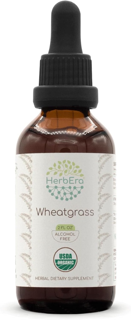 HerbEra Wheatgrass B60 USDA Økologisk Tinktur | Alkohol-fri ekstrakt, høy potens Herbal Drops, Flytende Supplement | Certified Organic Wheatgrass (Triticum aestivum) Tørket Leaf (2 oz)