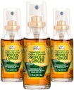 Beelife Propolis Throat Spray - Soothing Honning & Ginger Propolis Spray - Naturlig immunstøtte og Bee Propolis Extract-Antioksidanter, rik på Flavonoids & Artepillin, Ingen sukker, Glutenfri 3-Pack, 90ml