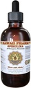 HawaiiPharm Spirulina flytende ekstrakt, Organic Spirulina (Arthrospira platonsis) Tinktur, Herbal Supplement, laget i USA, 2 fl.oz