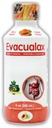 Senna flytende Laxativ for voksne og barn - Papaya Flavor, Naturlig Senna Leaf & Prune - Stool Softener for lindring - Herbal Syrup for Bowell Support, Digestive Cleanse - 8oz