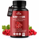 Blodsirkulasjonstilskudd, 120 kapsler, støtter benvei, hjerte, fartøy og kardiovaskulær helse med niacin, L-arginin, Ginger, Cayenne Pepper, Hawthorn, Diosmin, Blodflytpiller
