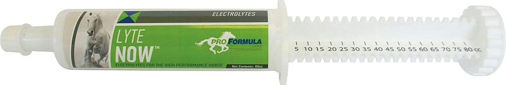 Uckele Lyte Nå Syringe for hester - Full Spectrum Electrolyte Paste for hester - Equine Mineral Fluid Replenishment - 3 doser - 80 CC