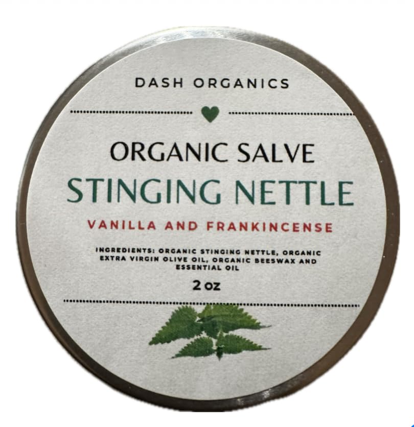 DASH ORGANICS Organisk Stinging Nettle Salve | Vanilla & Frankincense Sentrert | 2oz Herbal Balm