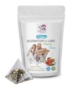 Peppermynte Te - RESPIRATORI OG LUNG SUPPORT TEA 14 dager - astragalus membranaceus rot, kanel, Hibiscus, Marshmallow Root, organisk urte te, lunge støtte urter, immun te - 1Pack 14 poser
