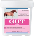 GutTM Pellets | Sunn Gut Probiotika for hester | Equine Prebiotic & Probiotic Powder | Heste Mage Supplement | 13,5 lb
