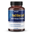Red Vine Leaf og Heste Chestnut, 50% Flavonoids for benvei støtte, hud, hjerte velvære - laget i USA