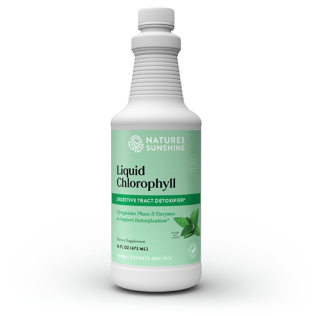 Naturens solskinn flytende klorofyll - immunitetsstøtte, Detox & Cleanse, Klorofyll flytende dråper med Spearmintolje, Naturlig energiøkning, intern deodorant - 16 fl Oz
