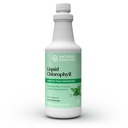 Naturens solskinn flytende klorofyll - immunitetsstøtte, Detox & Cleanse, Klorofyll flytende dråper med Spearmintolje, Naturlig energiøkning, intern deodorant - 16 fl Oz