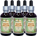 Hvit Willow (Salix Alba) Glyceritt, organisk tørket Bark alkohol-FREE flytende ekstrakt (Brand name: HerbalTerra, stolt laget i USA) 5x2 fl.oz (5x60 ml)