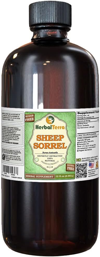 Saue Sorrel (Rumex Acetosella) Glyceritt, økologisk tørket Herb alkoholfri flytende ekstrakt (merkenavn: HerbalTerra, stolt laget i USA) 32 floz (0,95 l)