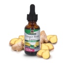 Naturens svar Ginger Root Extract Supplement med organisk alkohol 1 Fluid Ounce  Fluid Joint Pain Relief | Inflammatory Support | Hjelper til å opprettholde sunn digestion