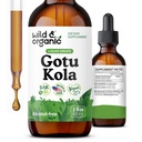 Wild & Organic Gotu Kola Urt Tinktur - Brain Support - Gotu Kola flytende ekstraksjonsdråper - Vegansk, Sukker & alkoholfri Centella Asiatica Supplement - 2 fl oz
