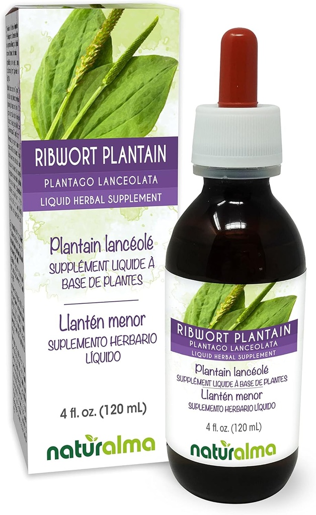 Naturalma Ribwort Plantain or Narrowleaft Plantain (Plantago lanceolata) Leaf alkohol-fri tinktur - 4 fl oz flytende ekstrakt i Drops - Herbal Supplement - Vegan