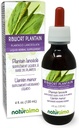 Naturalma Ribwort Plantain or Narrowleaft Plantain (Plantago lanceolata) Leaf alkohol-fri tinktur - 4 fl oz flytende ekstrakt i Drops - Herbal Supplement - Vegan
