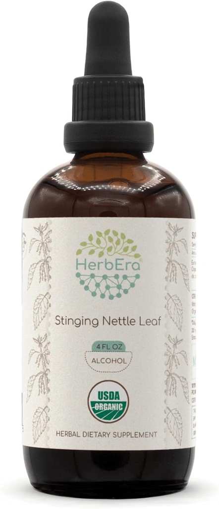 HerbEra Stinging Nettle Leaf A120 USDA Organisk Tinktur | Alkoholekstrakt, høy potens Herbal Drops | Certified Organic Sting Nettle (Urtica Dioica) Tørket Leaf (4 oz)