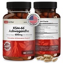 DailyNutra KSM-66 Ashwagandha 600mg organisk rotekstrakt - høy potens Supplement med 5% withanolider | Belaster trøtthet, støtter avslapning, fokus, energi og muskelvekst (60 kapsler)