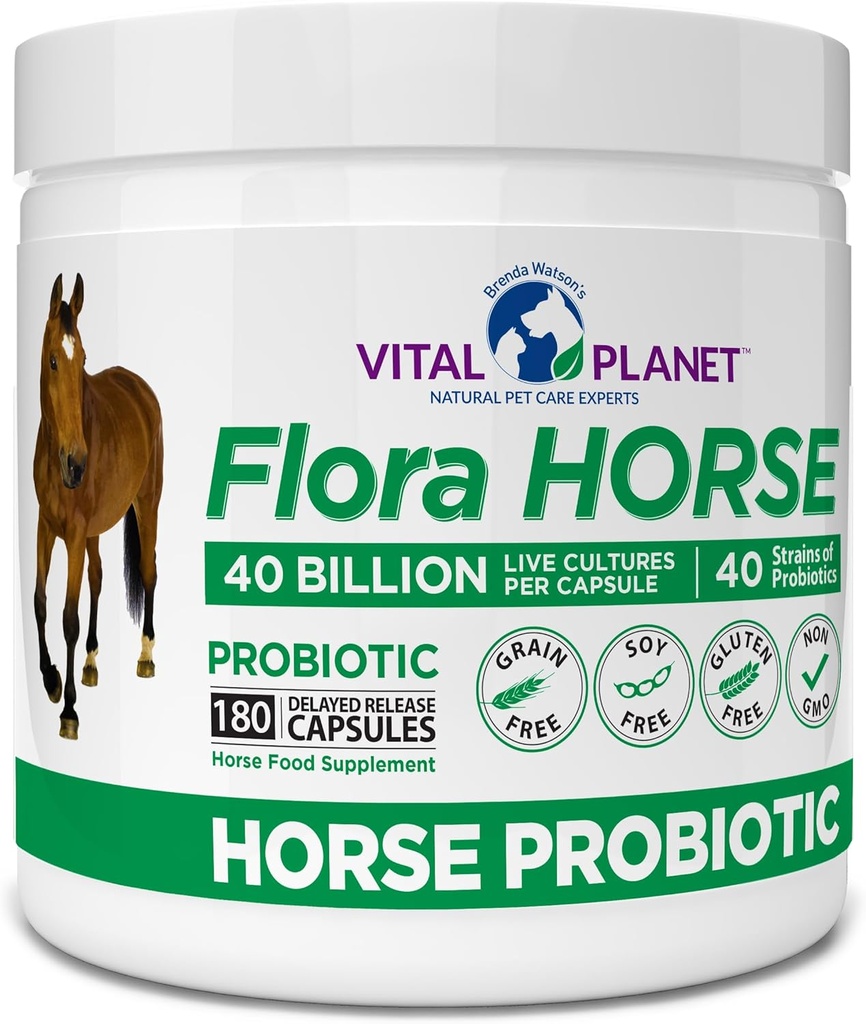 Vital Planet - Flora Horse Probiotic, høy potens Equine Probiotika med prebiotika, 40 milliarder Live CFU fra flere strimler, digestiv og immun støtte, 180 forsinket releasekapsler (180 dager)