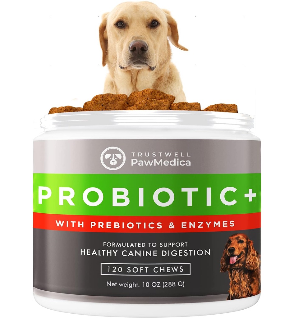 PawMedica hund probiotika og digestive enzymer, probiotika for hunder laget i USA, Pet Probiotic Chews for hunder, prebiotika og probiotiske hund digestive støtte, probiotiske behandlinger - 120 Hunde Probiotic Chews