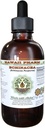 Hawaii Pharm Echinacea alkohol-fri flytende ekstrakt, Echinacea (Echinacea Purpurea) tørket rot glyseritt naturlig urtetilskudd 2 oz