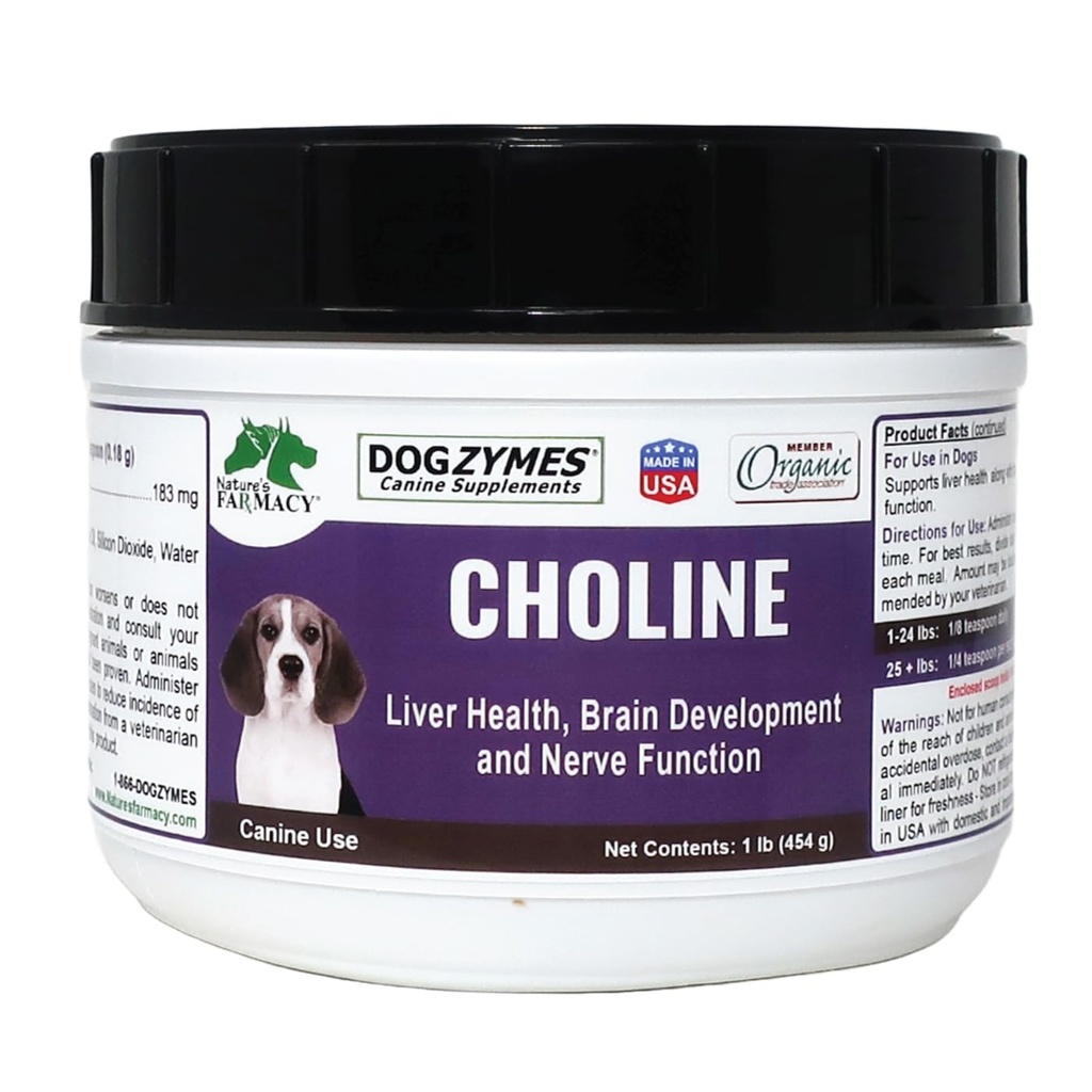 Dogzymes Choline hjelper i hjernefunksjon og hjelper også med anfall og Stroke Recovery. Det brukes også til å rense leveren av akkumulerte lipider (1 pund)