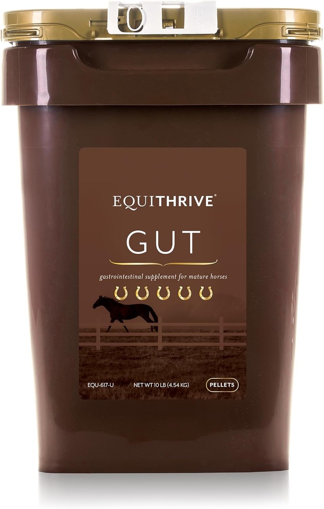 Equithrive Hest Gut Pellets med probiotika, Psyllium Husk pulver, natriumbikarbonat og Omega 3 fettsyrer, Digestiv støtte Supplement for hester, 10 lbs