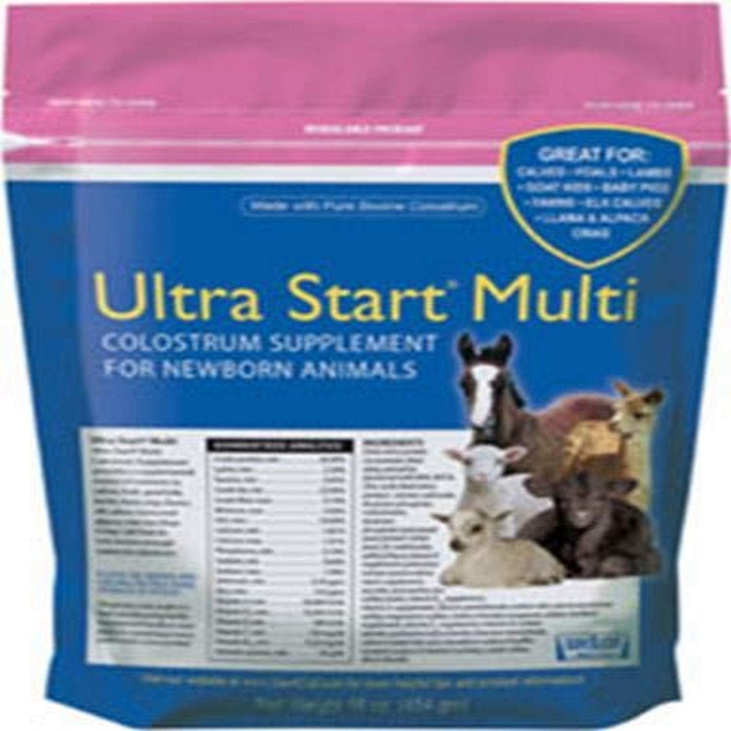 Colossrum Supplement for hest