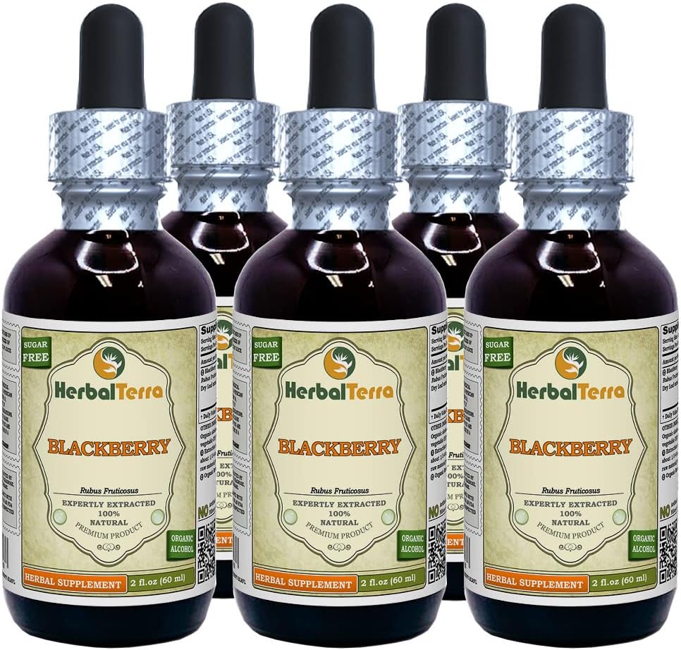 BlackBerry (Rubus friticosus) Tinktur, organisk tørkede blader flytende ekstrakt (merkenavn: HerbalTerra, stolt laget i USA) 5x2 fl.oz (5x60 ml)