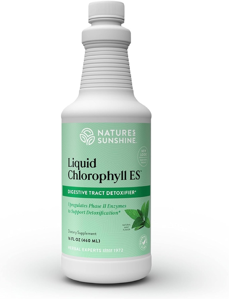 Naturens solskinn flytende klorofyll ekstra styrke - immunitet støtte, Detox & Cleanse, Klorofyll flytende dråper med Spearmint olje, naturlig energi øke, intern deodorant - 16 Fl Oz