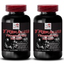 Øk kjønnsdrift - TRIBULUS TERRESTRIS EXTRACT - Tribulus terrestris ekstrakt for energikilde, Sexdrive piller for menn og kvinner, Sexdrive piller, Libido booster - 2 flasker 180 tabletter