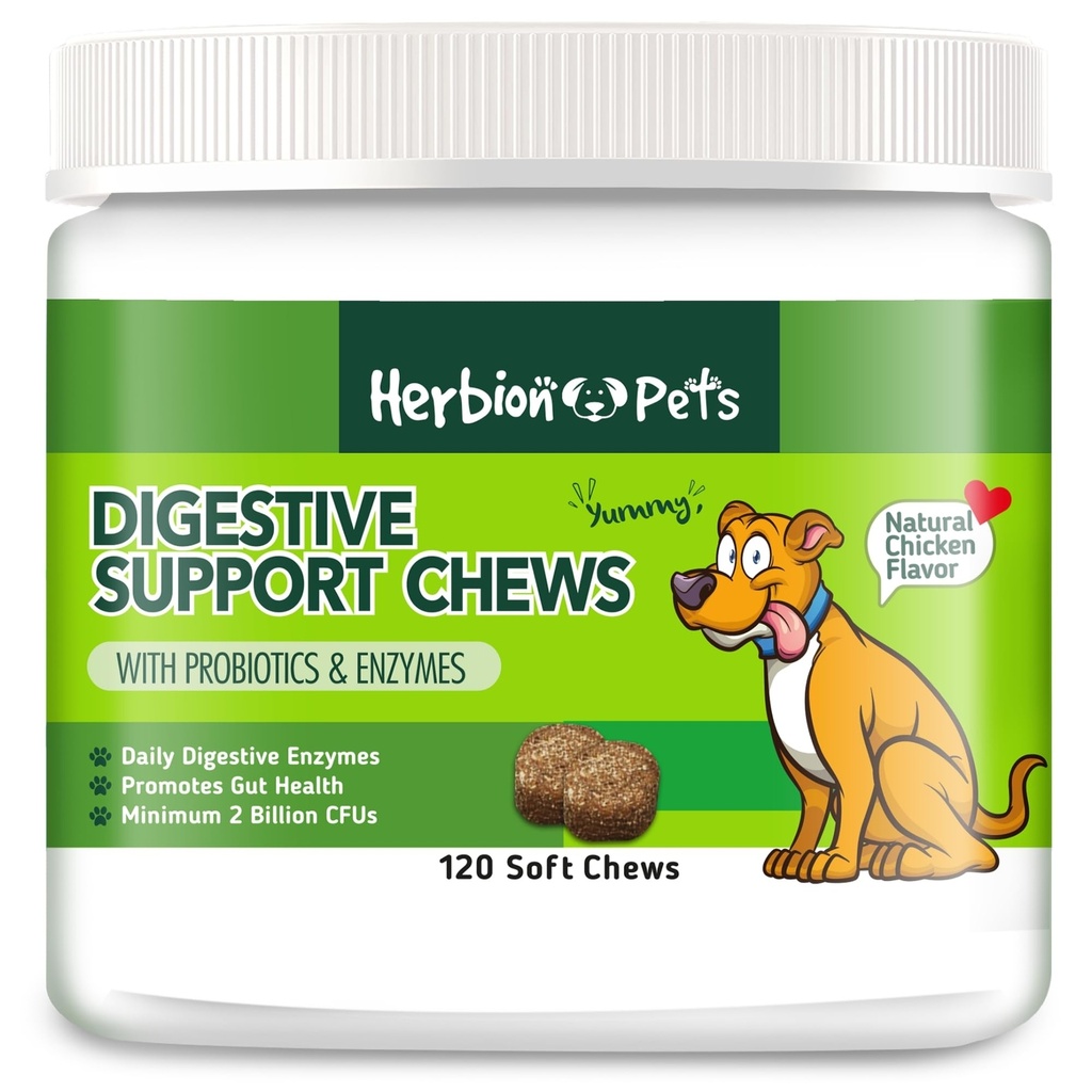 Herbion Kjæledyr Digestiv støtte Chews med probiotika og enzymer, 120 myk Chews, med daglige Digestive Enzymes, for forbedret Gut helse, minimum 2 milliarder CFUs, laget i USA for hunder 12 uker+, pakke 1