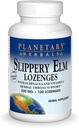 Planetary Herbals Slippery Elm Lozenges, 100 greve