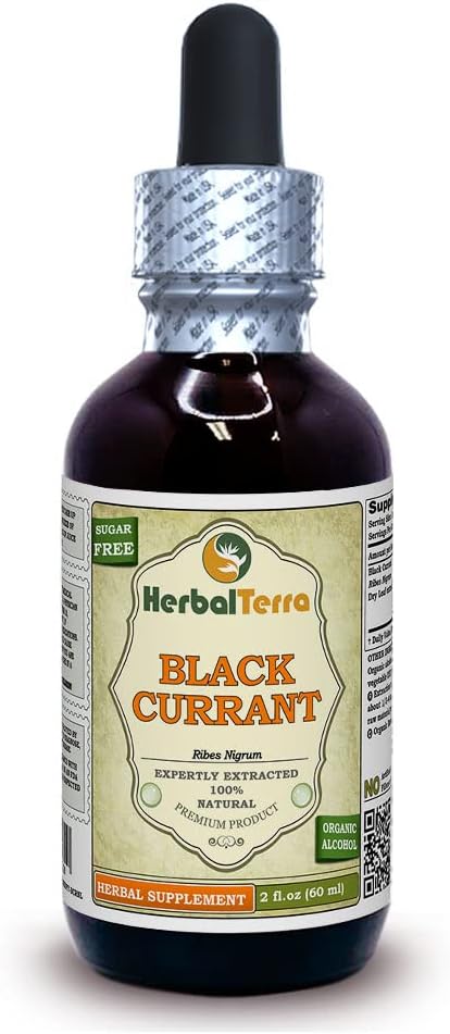Svart currant (Ribes nigrum) Tinktur, Tørkede blader flytende ekstrakt (Brand Navn: HerbalTerra, stolt laget i USA) 2 fl.oz (60 ml)