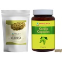 HERBAL HILLS Gurmar Tepulver og Karela Kapsler Pakke med 2 Combo